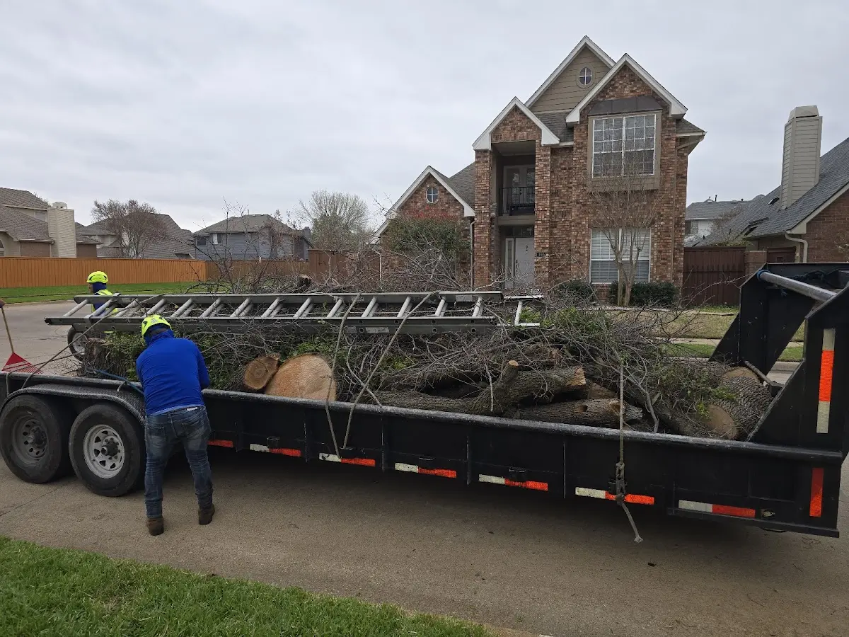 Expert Tree Pest Control with proper safety equipment in Bloomburg